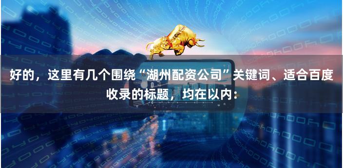 好的，这里有几个围绕“湖州配资公司”关键词、适合百度收录的标题，均在以内：